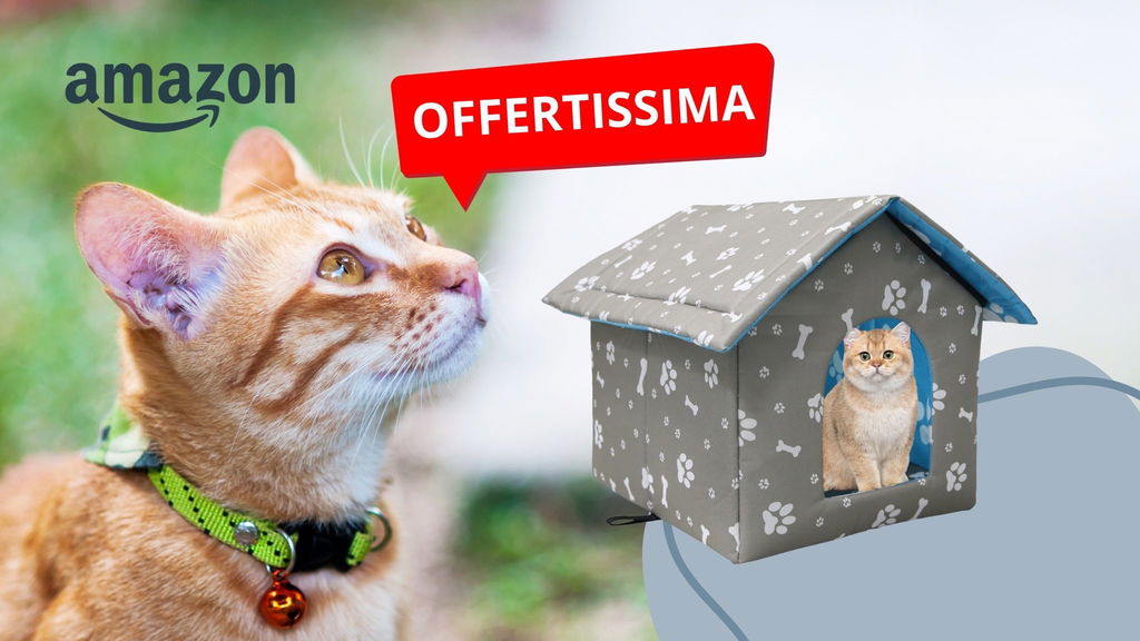 Cuccia impermeabile per gatti in offerta: costa meno di 25 euro!