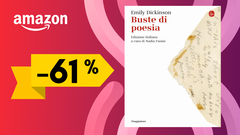 Buste di poesia di Emily Dickinson in mega sconto