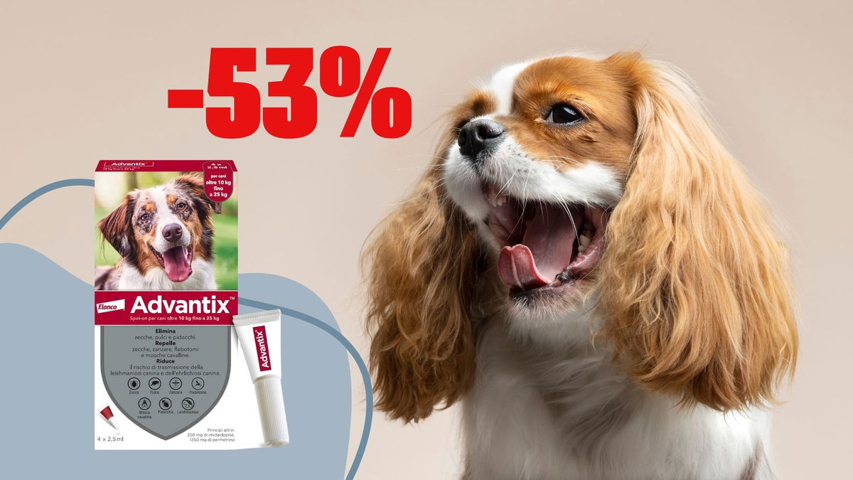 Antiparassitario per cani Advantix Spot-on in offerta: lo paghi meno della metà!