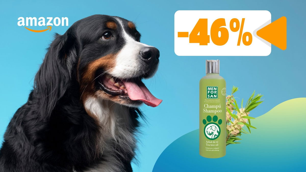 Shampoo delicato per cani in super offerta: addio prurito a metà prezzo!