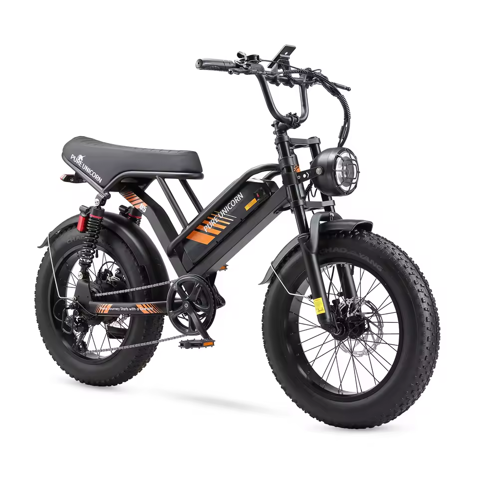 Bici elettrica per adulti 48V 1000W 19.2Ah