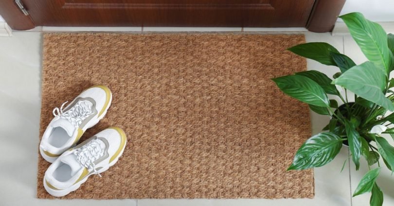 Zerbino asciugapassi tappeto per ingresso casa ufficio esterno