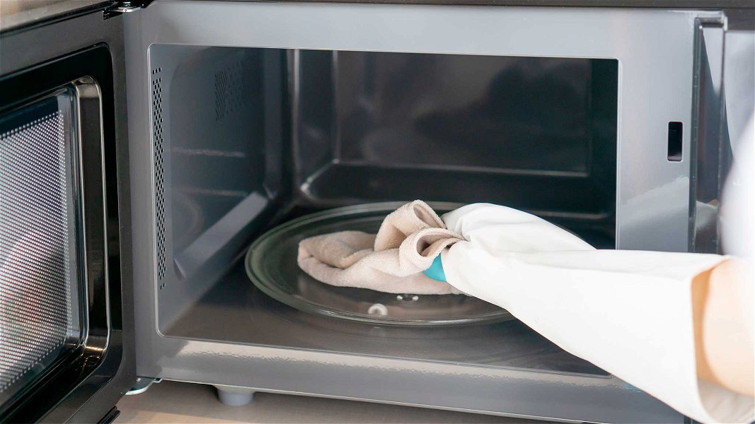 Pulitore e Disinfettante a vapore forno e microonde pulisce facilmente in  pochi secondi