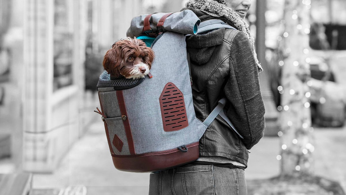 donna che porta a spasso cane con zaino