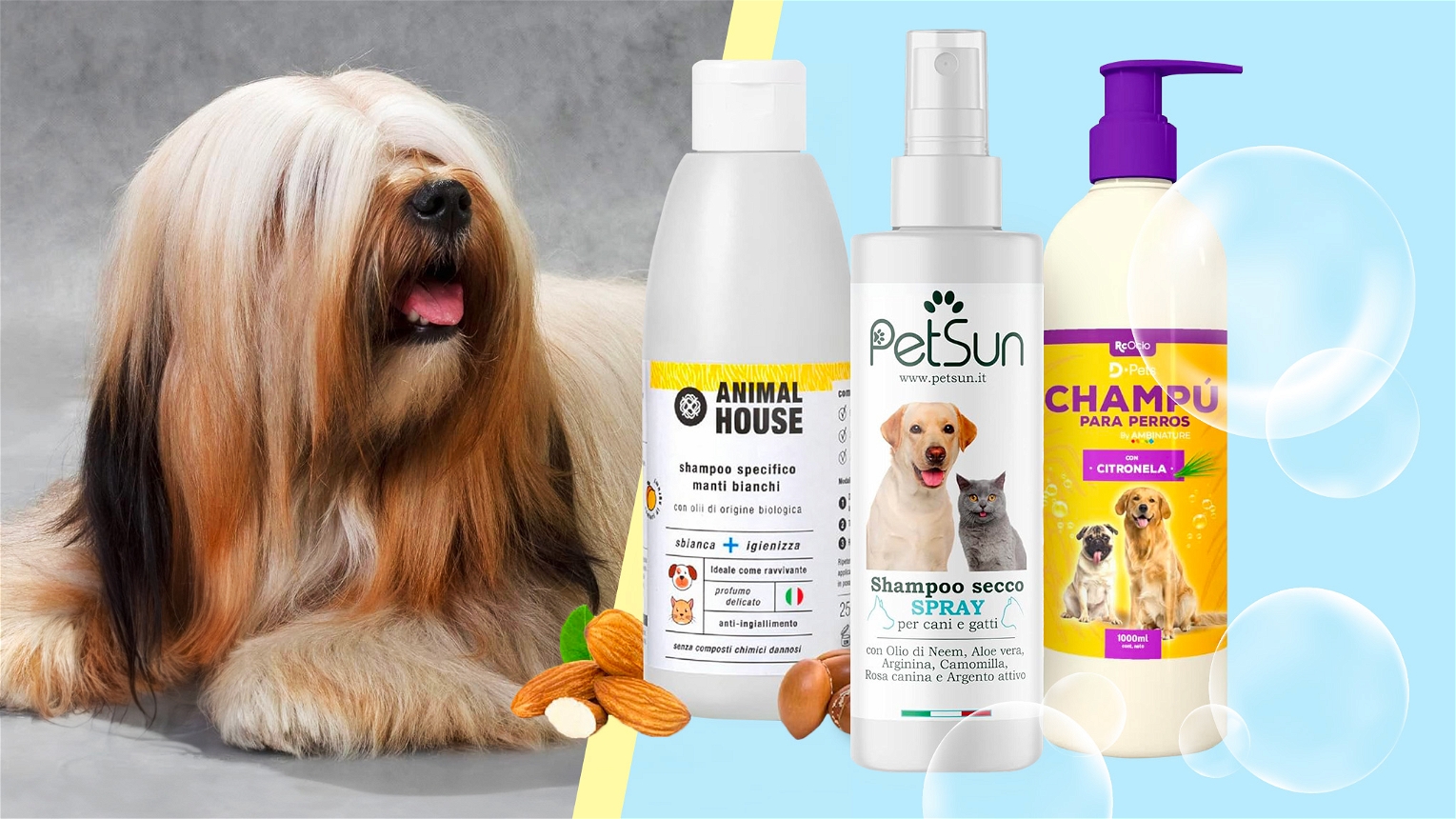 shampoo delicati per cani con cane di sfondo