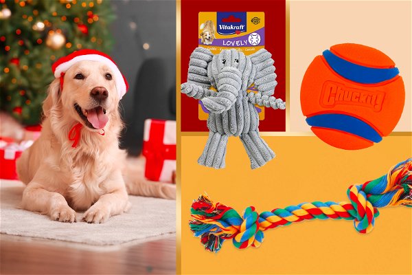 cane natalizio con giocattoli per cani 