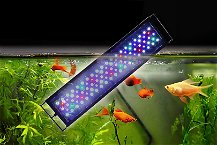migliore luce per acquario che galleggia in un acquario poichè è impermeabile