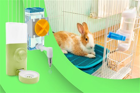 Migliori beverini per conigli in primo piano e foto di coniglio nella gabbietta con beverino