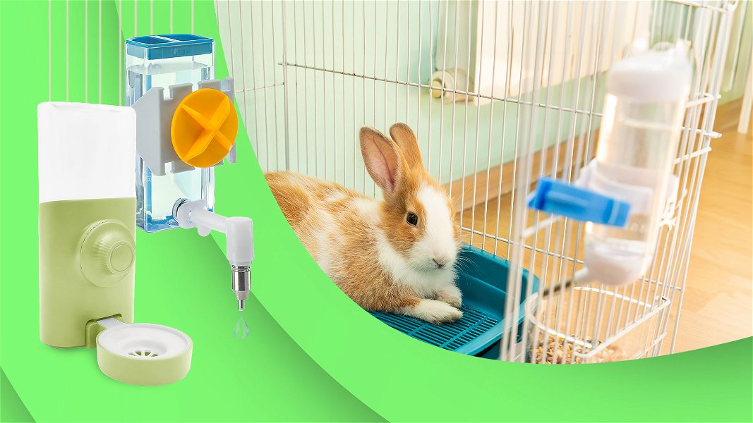 Migliori beverini per conigli in primo piano e foto di coniglio nella gabbietta con beverino