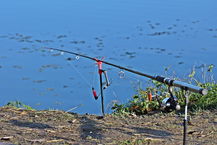 canna da pesca bolognese