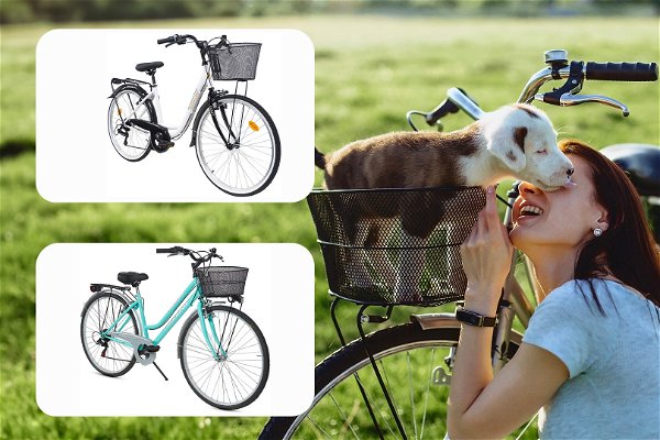 Due bici con cestino per il cane in primo piano e una foto di una ragazza in bici con il suo cane