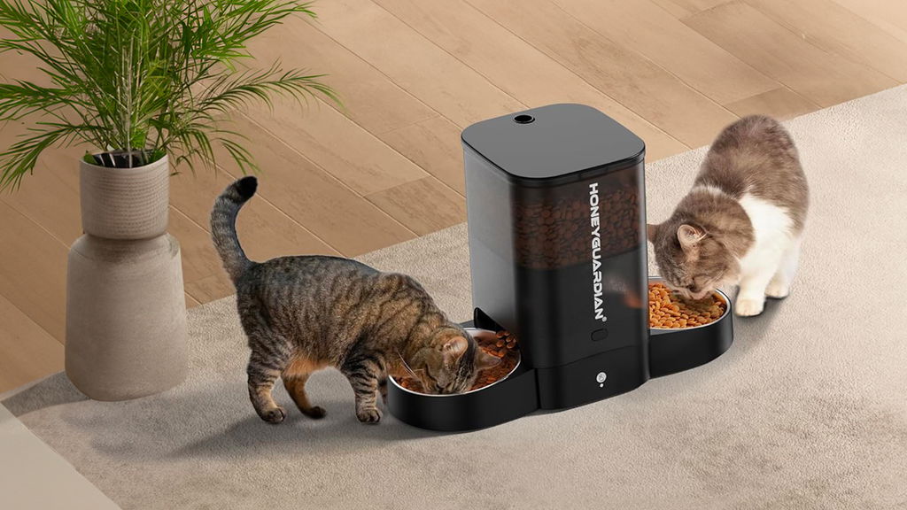 due due gatti che mangiano croccantini dalla ciotola automatica per gatti