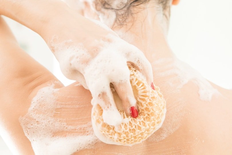 Spugne da bagno – Spugna da bagno – Spugna da doccia – Spugna naturale –  Spugna per il corpo – Sfere da bagno – Strumenti per la pulizia della pelle  –