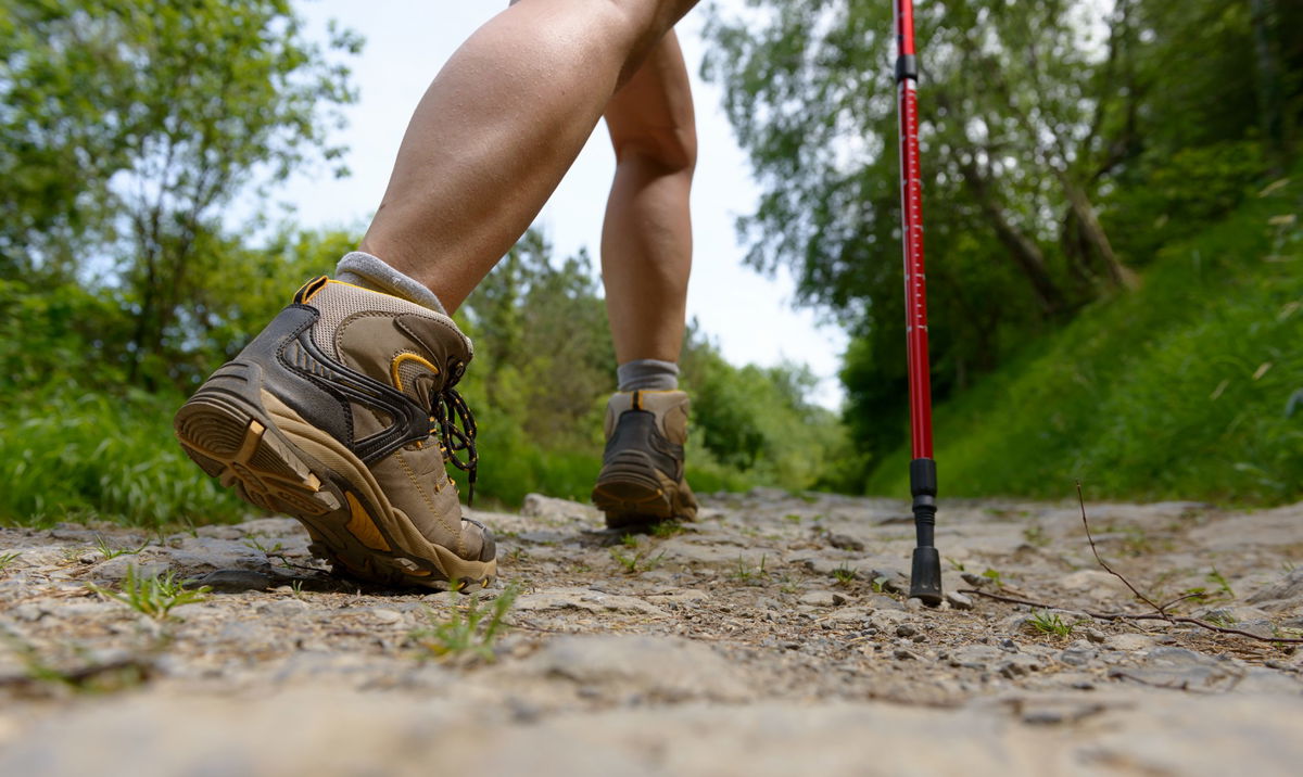 Bastoncini nordic walking, i migliori prodotti su Amazon