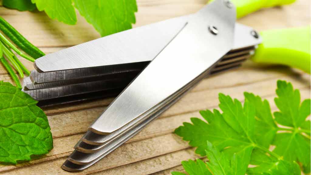 Forbici multitaglio: perfette per sminuzzare