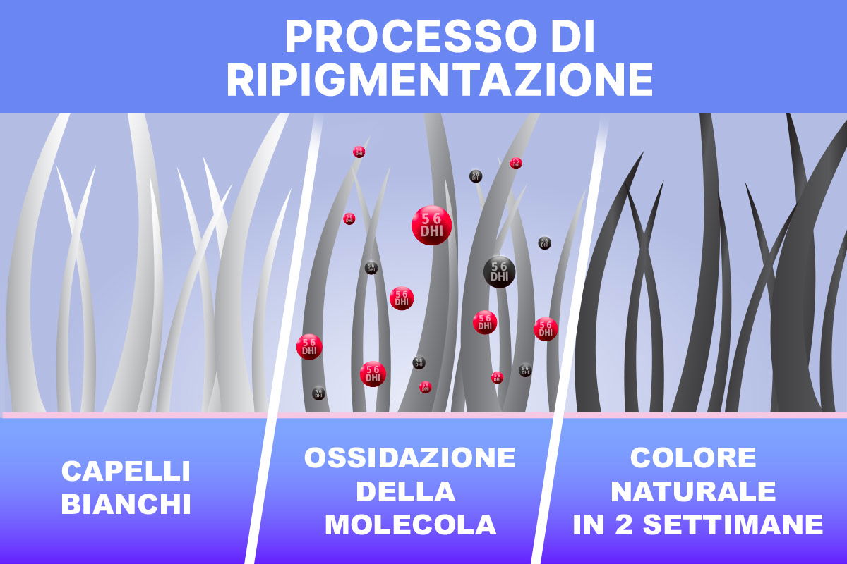 processo di ripigmentazione infografica 