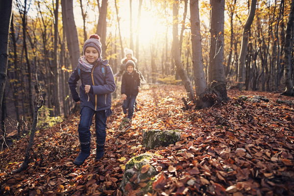 bambini che camminano nel bosco autunnale