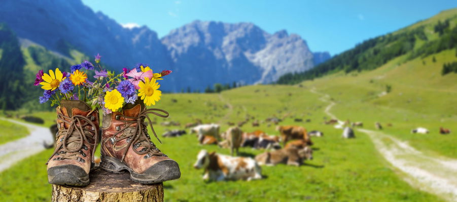 scarpe trekking e panorama montagna