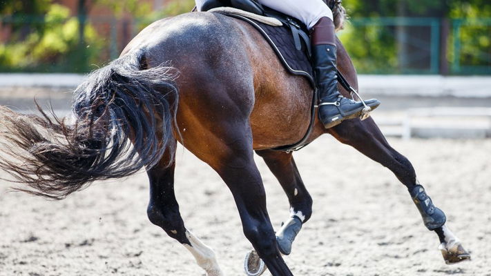 stivali da cavallo