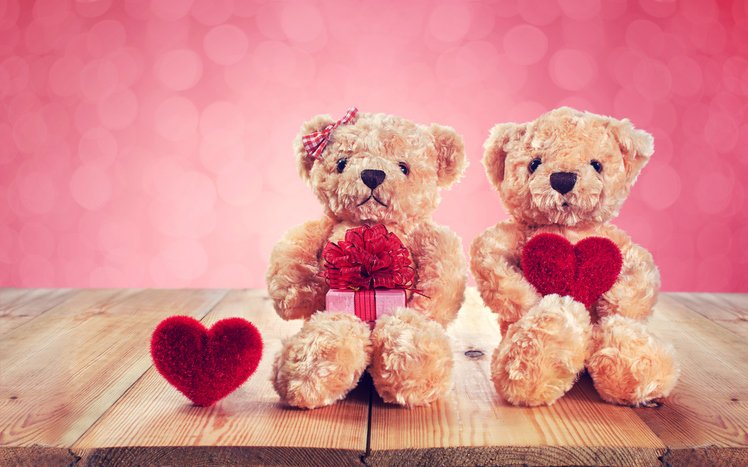 Regalo di San Valentino, simpatico peluche Teddy Bear, orsacchiotti animali  di peluche in 3 dimensioni