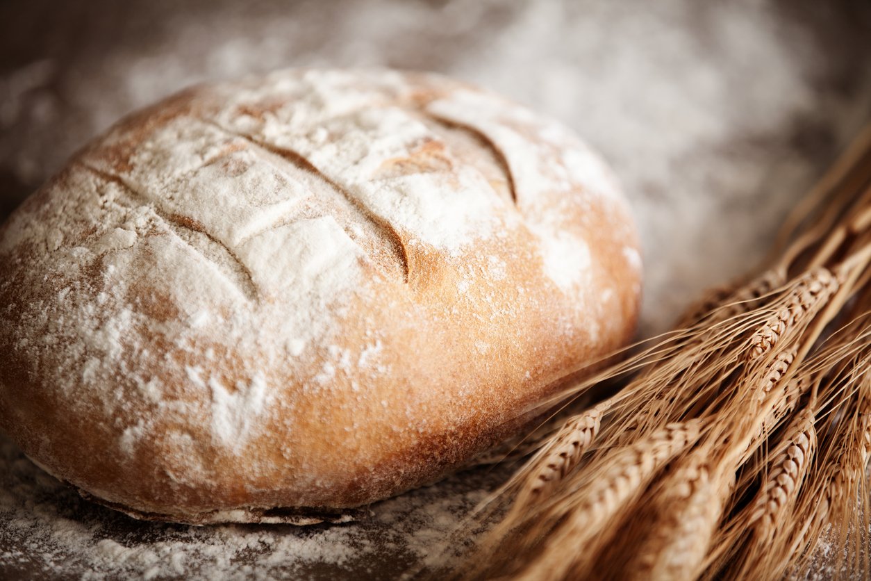 Macchine per il pane in casa: misure e prezzi - Cose di Casa