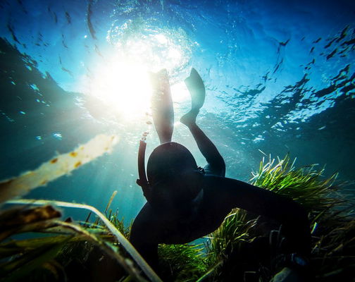 Fucile subacqueo, in mare per la pesca in apnea