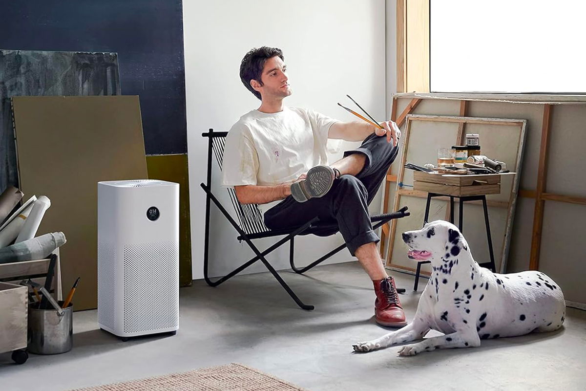 purificatore d'aria xiaomi in studio d'arte con dalmata