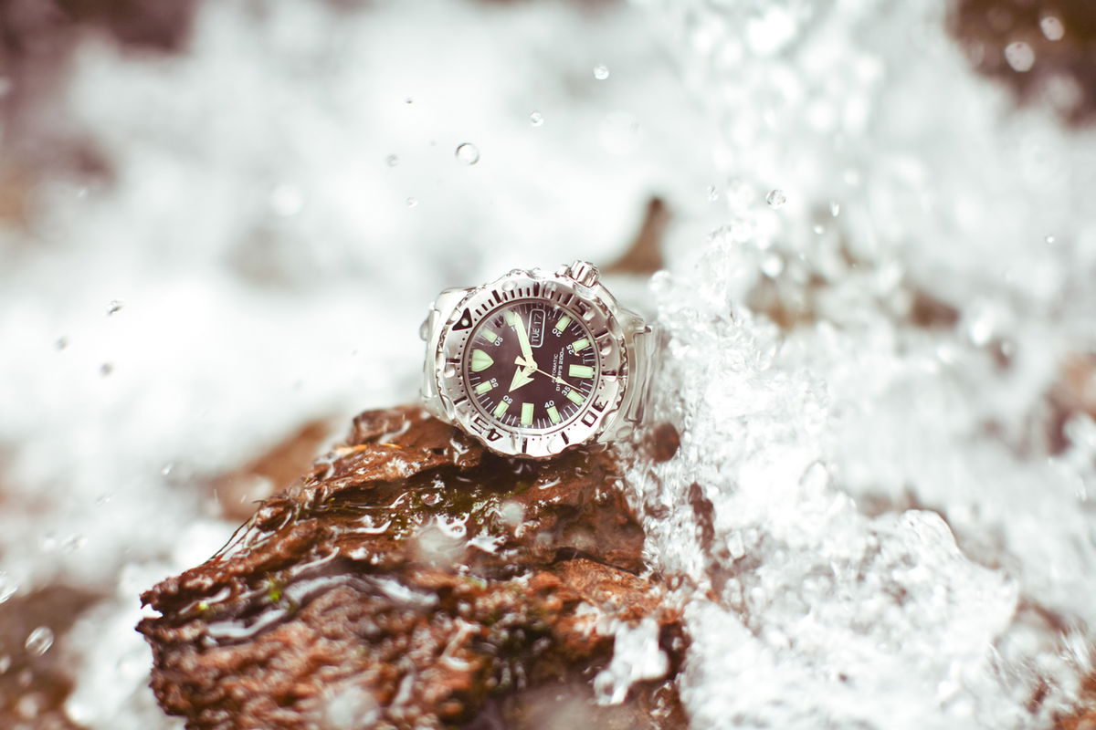 Scuba orologio al quarzo nella natura