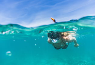 snorkeling